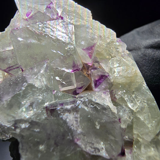 Zonare Fluorite Cube Tier Violet Vert Okorusu, Namibie 44*41*19mm Collection