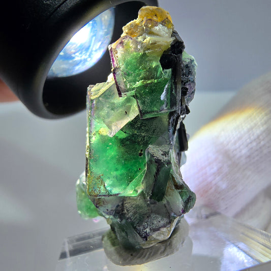 Cube de fluorite fantôme zonal, tourmaline muscovite Schörl hyalite Erongo, Namibie 36 x 21 x 17 mm