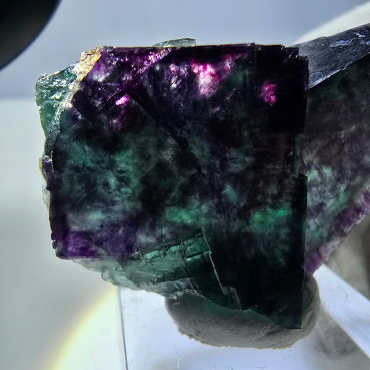 Spécimen rare de cube de fluorite fantôme, vert zonal et violet, Okorusu, Namibie, 39 x 30 x 24 mm