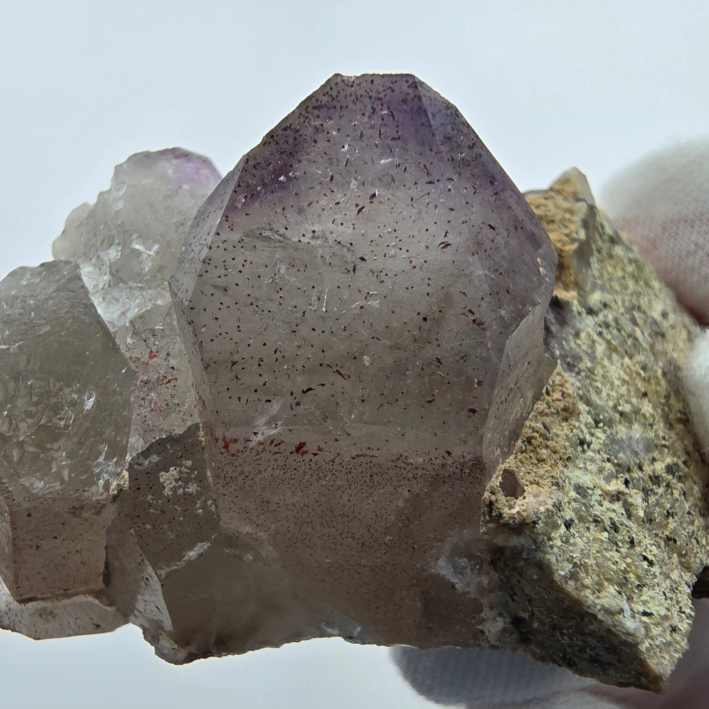 Phantom Amethyst Zepter auf Matrix Goboboseb, Namibia 62*34*30mm Sammlung