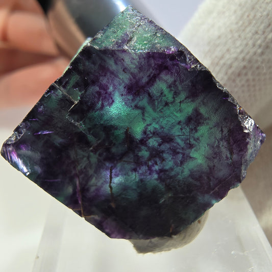 Spécimen de cube de fluorite fantôme transparente, vert-violet zonal, Okorusu, Namibie, 30 x 27 x 19 mm
