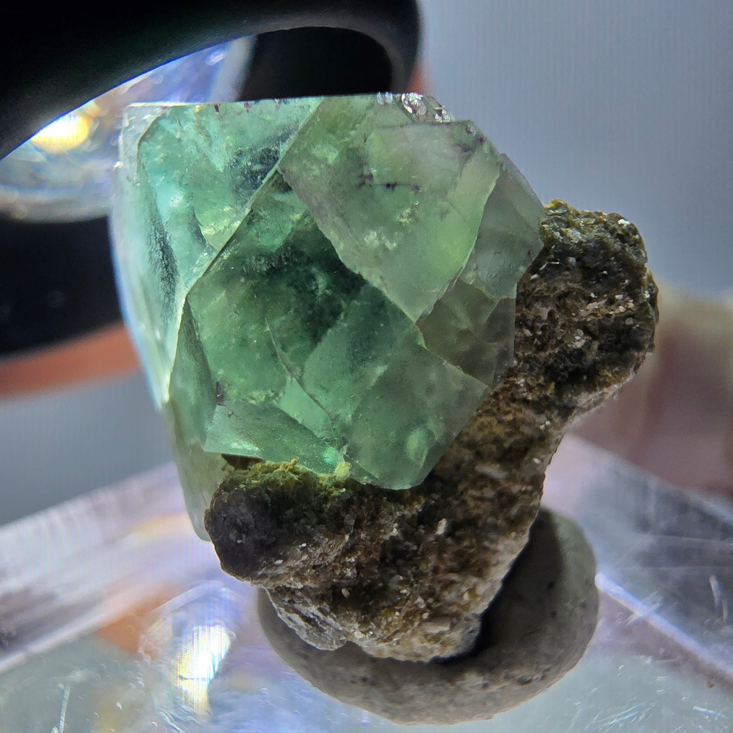 Phantom Fluorit Würfel, Muskovit Stufe grün lila Erongo, Namibia 23*17*16mm