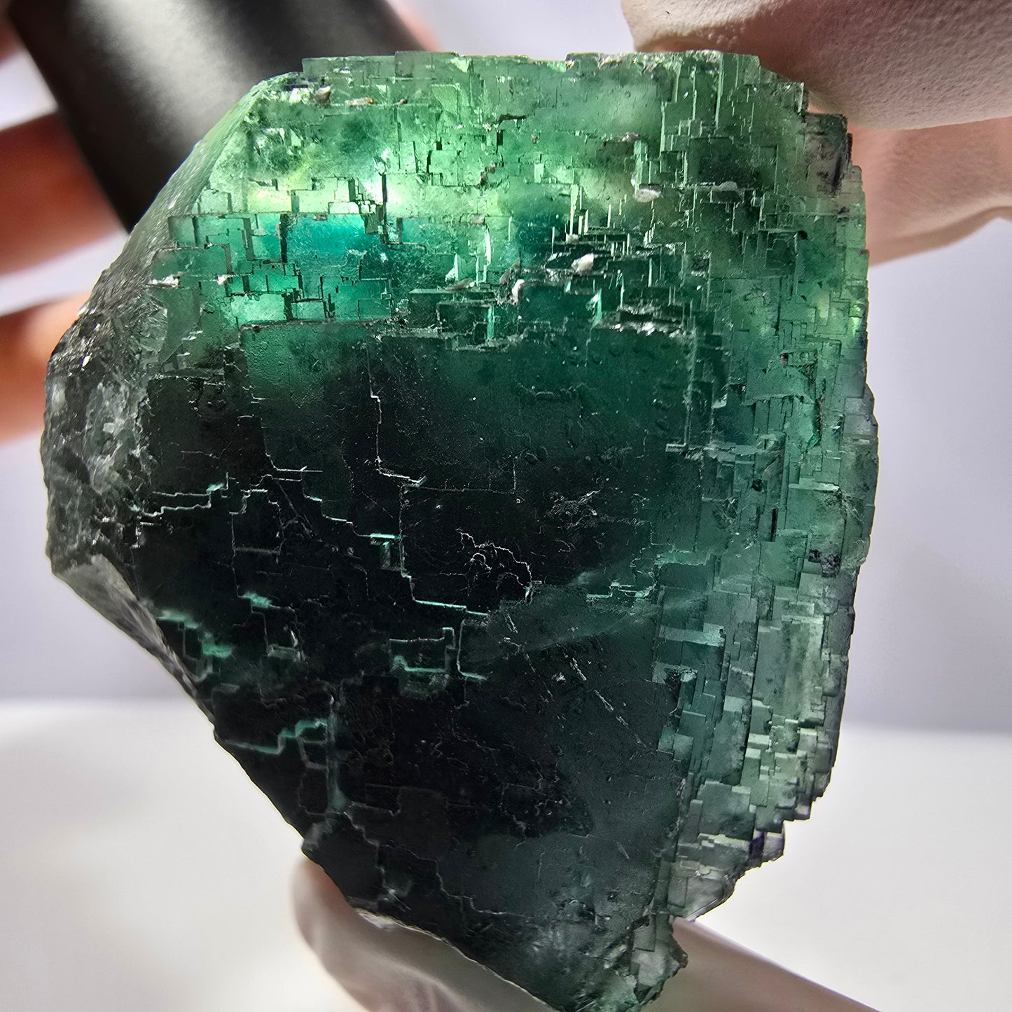 Spécimen de cube de fluorite fantôme transparente, vert parqueté, Okorusu, Namibie, 52 x 49 x 41 mm