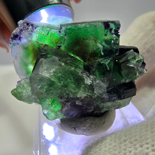 Cube de fluorite fantôme zonal, spécimen de tourmaline Schorl, Erongo, Namibie, 35 x 25 x 22 mm