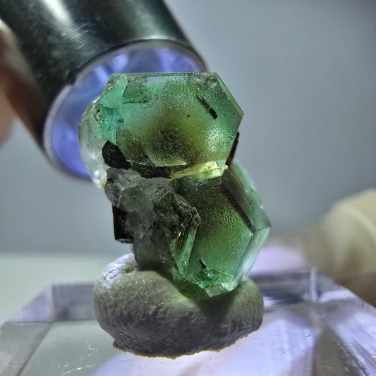 Cube hexagonal de fluorite fantôme, tourmaline Schorl d'Erongo, Namibie 17 x 13 x 12 mm