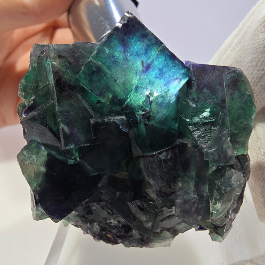 Spécimen de cube de fluorite fantôme transparente, vert-violet zonal, Okorusu, Namibie, 55 x 40 x 40 mm