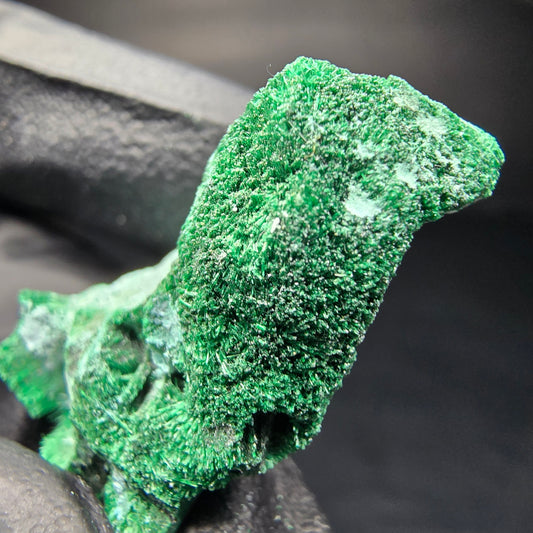 Malachite rare, stade chrysocolle Kaokoveld, collection Namibie 32*24*17mm