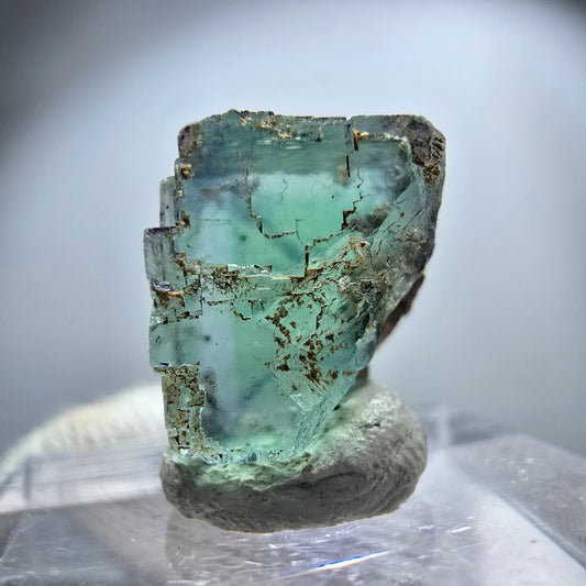 Rare spécimen de cube de fluorite fantôme, vert Okorusu, Namibie 18 x 17 x 13 mm