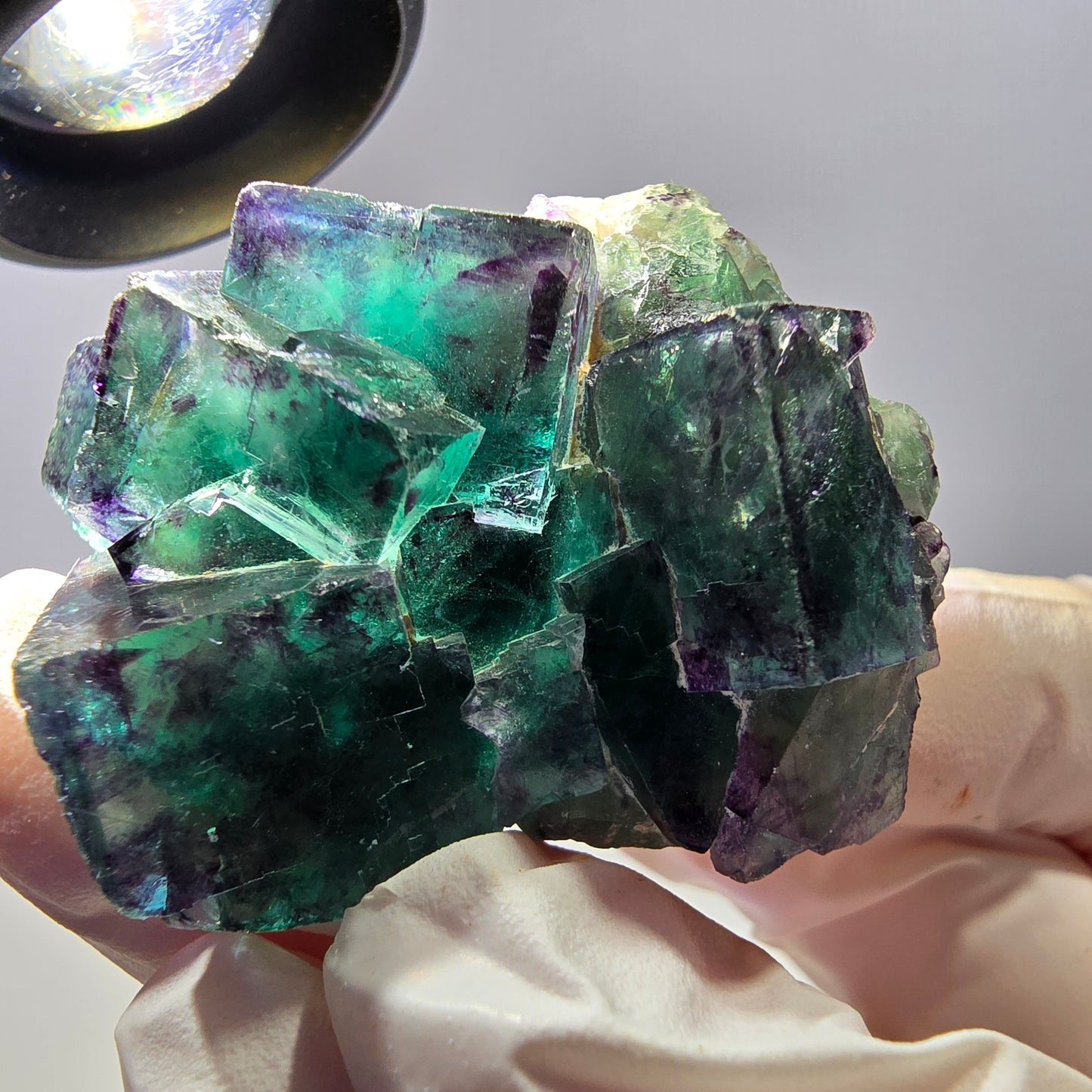 Spécimen de cube de fluorite fantôme parqueté vert violet Okorusu, Namibie 45*40*24 mm