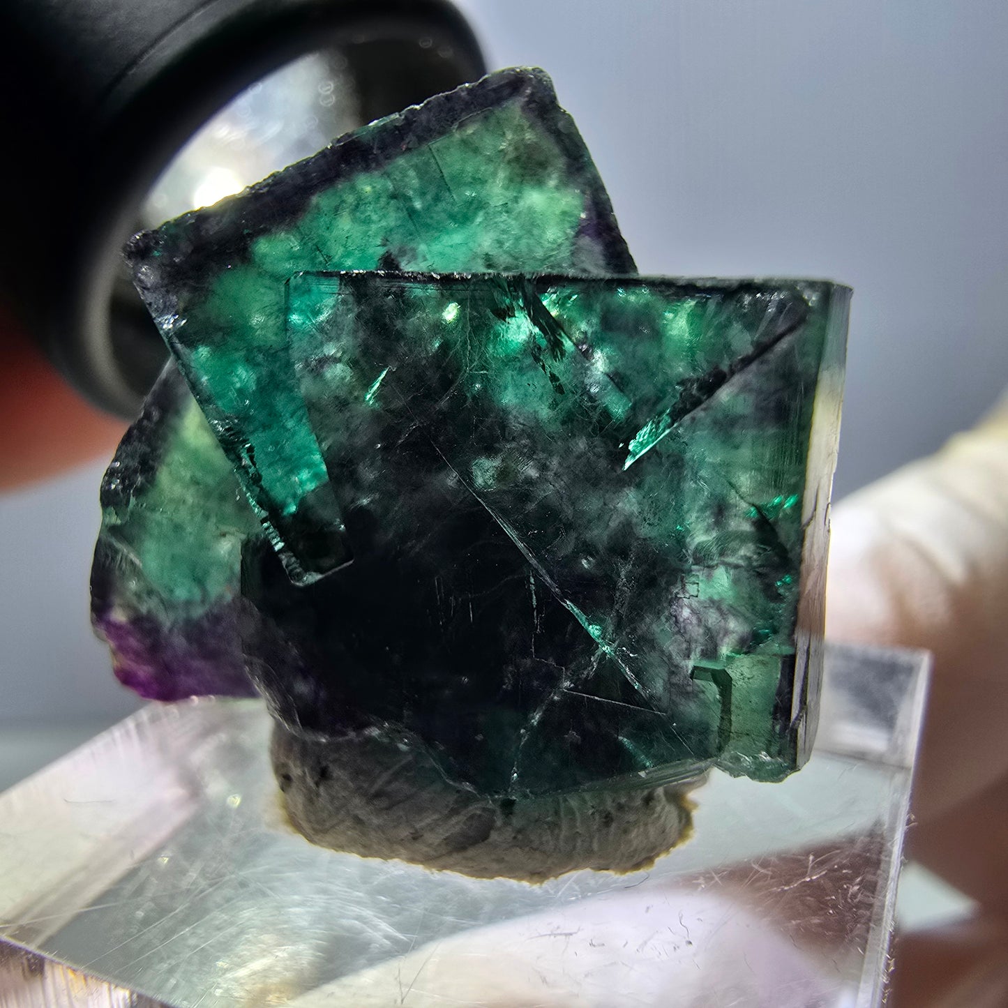 Spécimen de cube de fluorite fantôme, parqueté vert violet Okorusu, Namibie 27 x 24 x 15 mm