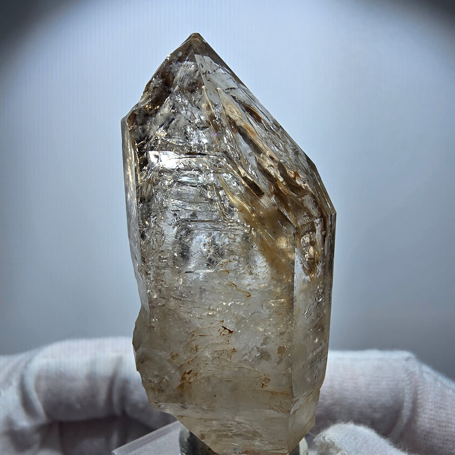 Enhydro Phantom Rauchquarz Fenster Zepter, 1x Blase Goboboseb Namibia 64*28*22mm