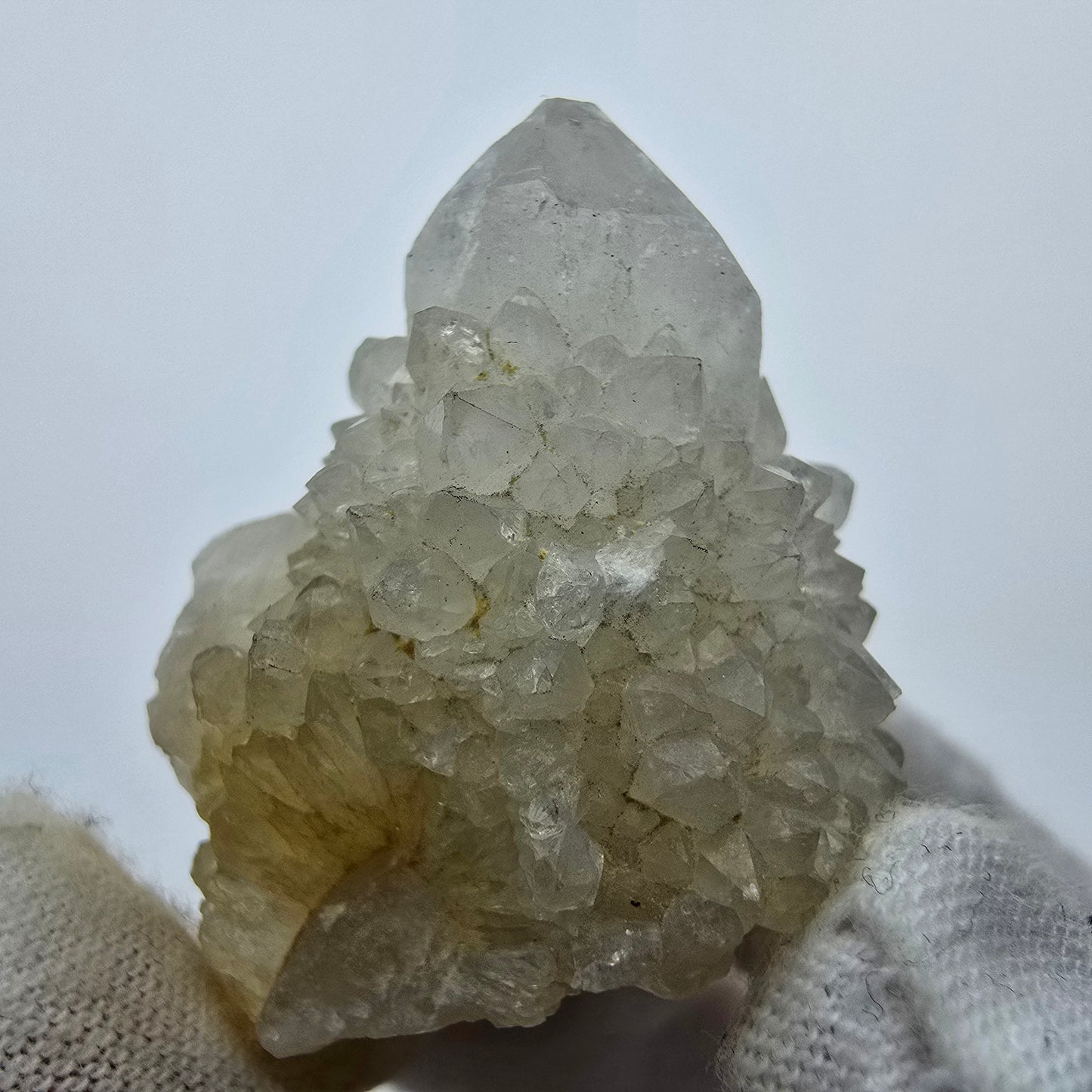 Kaktusquarz, Spirit Quarz XX Stufe Boekenhouthoek, Südafrika 41*30*25mm Sammlung