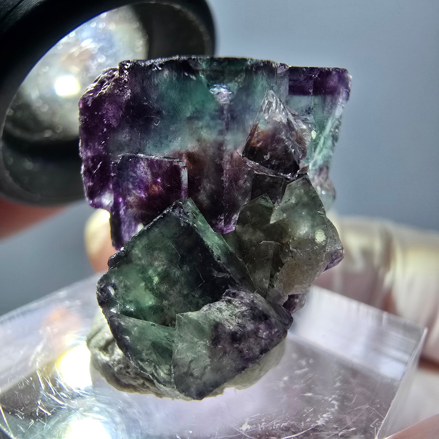 Spécimen de cube de fluorite fantôme, parqueté vert violet Okorusu, Namibie 25*19*15 mm