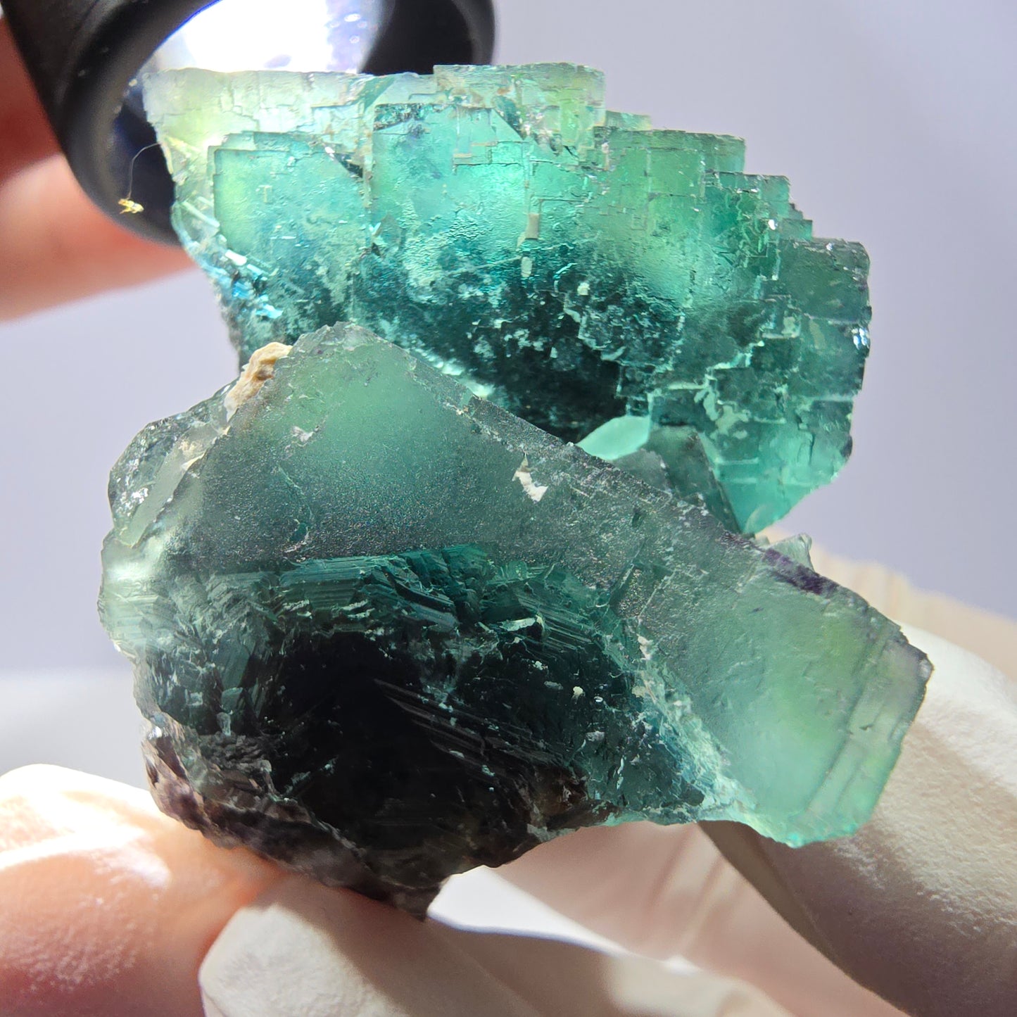 Spécimen de cube de fluorite fantôme, parqueté vert violet Okorusu, Namibie 56*46*43 mm
