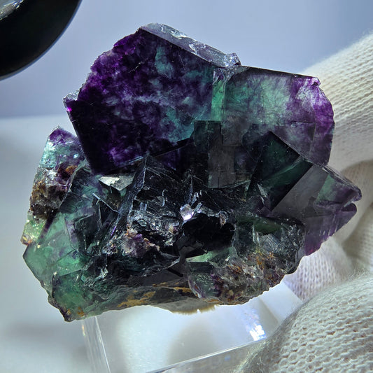 Spécimen rare de cube de fluorite fantôme, vert zonal et violet, Okorusu, Namibie, 43 x 38 x 18 mm