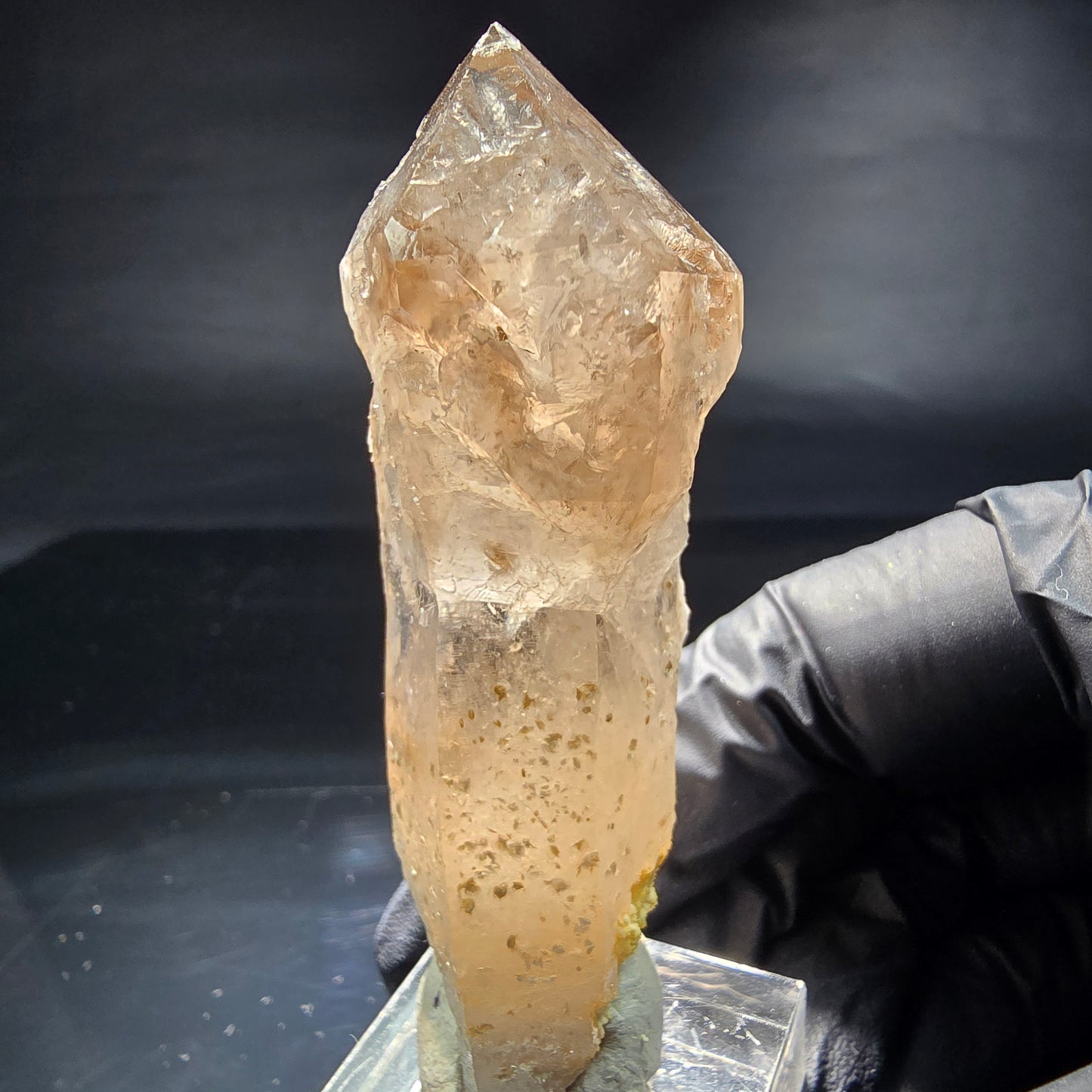 Schöne Phantom Rauchquarz Zepter Spitze Erongo, Namibia 69*25*20mm Sammlung