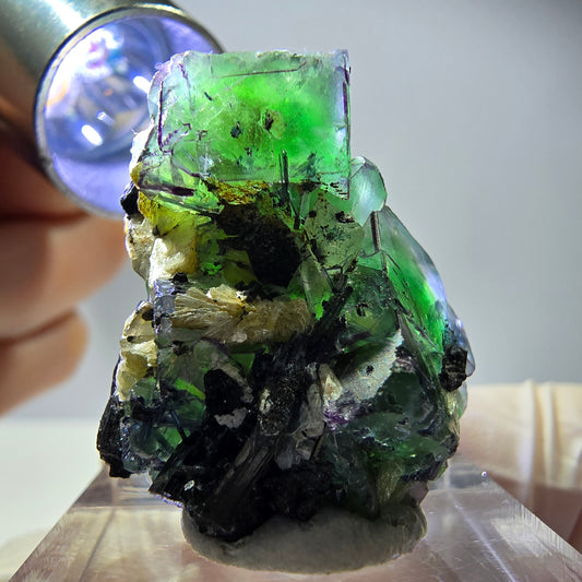 Cube de fluorite fantôme, zonal, muscovite, spécimen de tourmaline Schorl, Erongo, Namibie, 30 x 25 x 15 mm