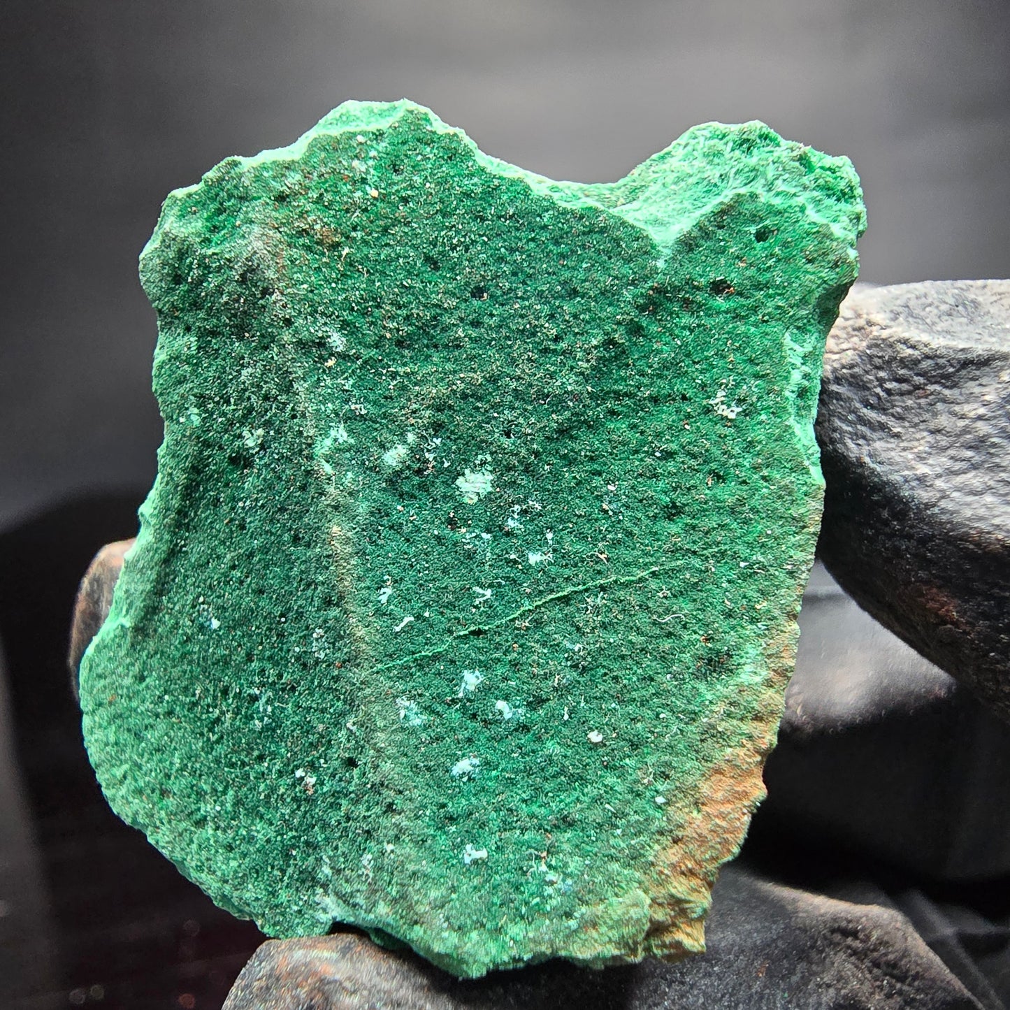 Seltene Malachit auf Matrix Stufe grün Kaokoveld, Namibia 40*32*22mm Sammlung