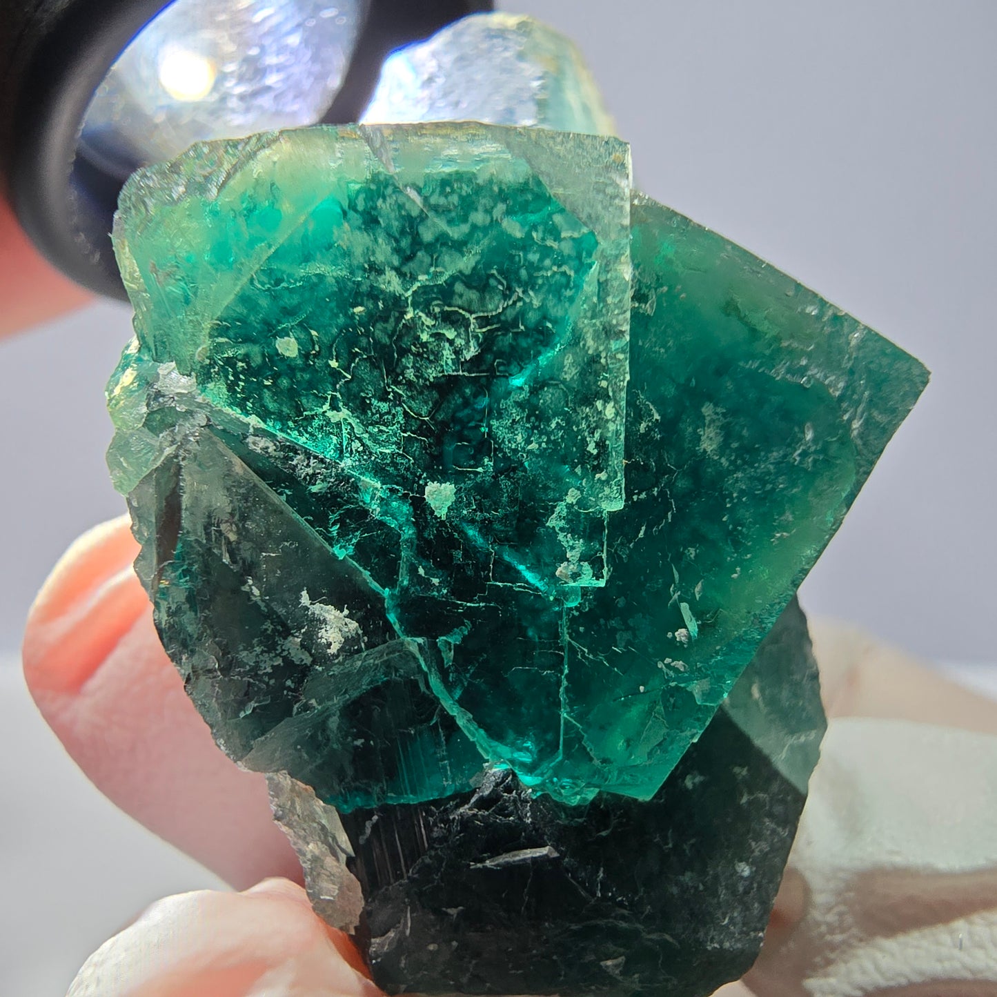 Spécimen de cube de fluorite fantôme, parqueté vert violet Okorusu, Namibie 51*46*28 mm