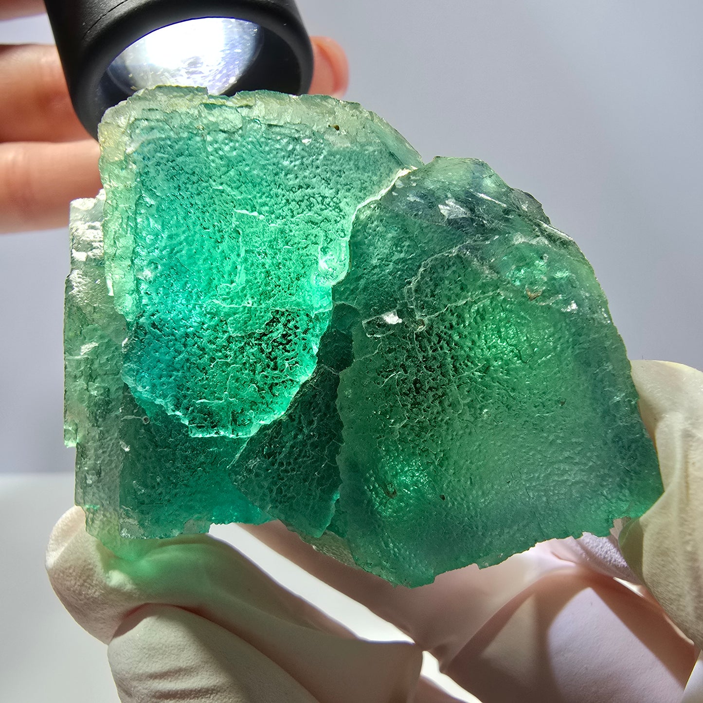 Rare spécimen de cube de fluorite fantôme, parqueté vert Okorusu, Namibie, 66 x 47 x 35 mm