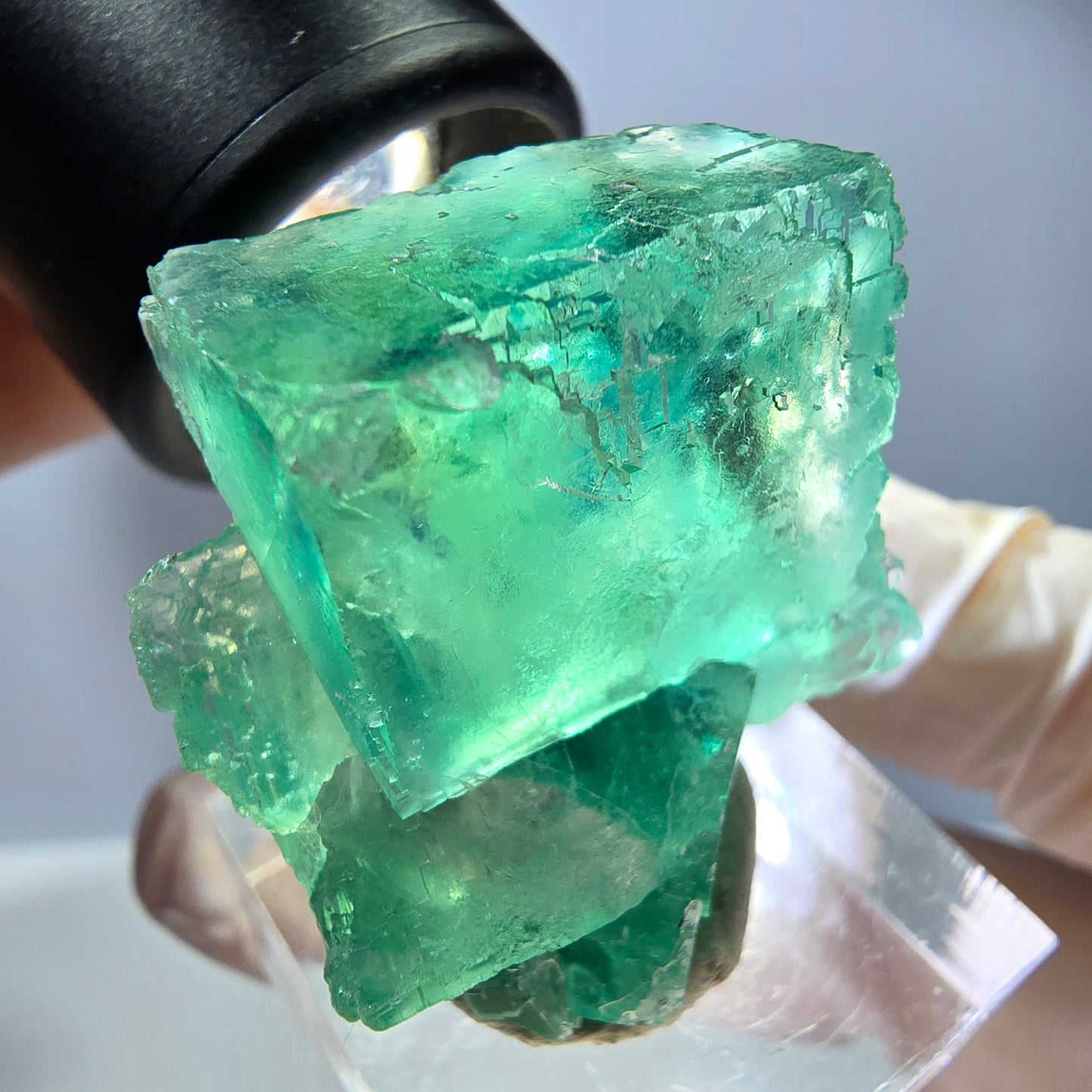 Rare spécimen de cube de fluorite fantôme, vert Okorusu, Namibie 34 x 29 x 21 mm