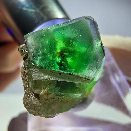 Fluorite fantôme, quartz fumé, hyalite, tourmaline Schörl, muscovite, Erongo, Namibie, 24 x 15 x 16 mm