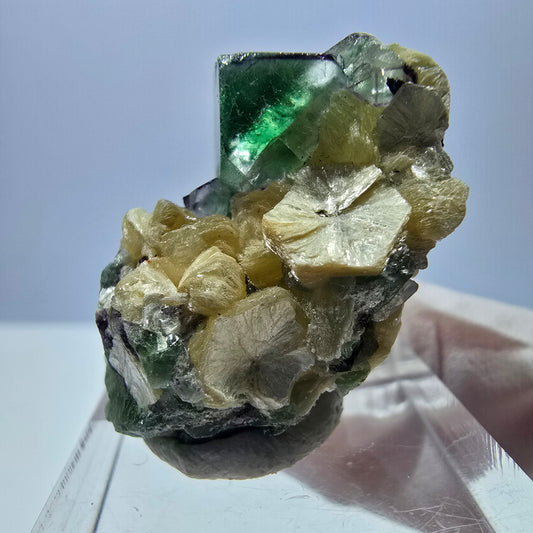 Cube de fluorite fantôme, zonal, muscovite, spécimen de tourmaline Schorl, Erongo, Namibie, 35 x 21 x 20 mm