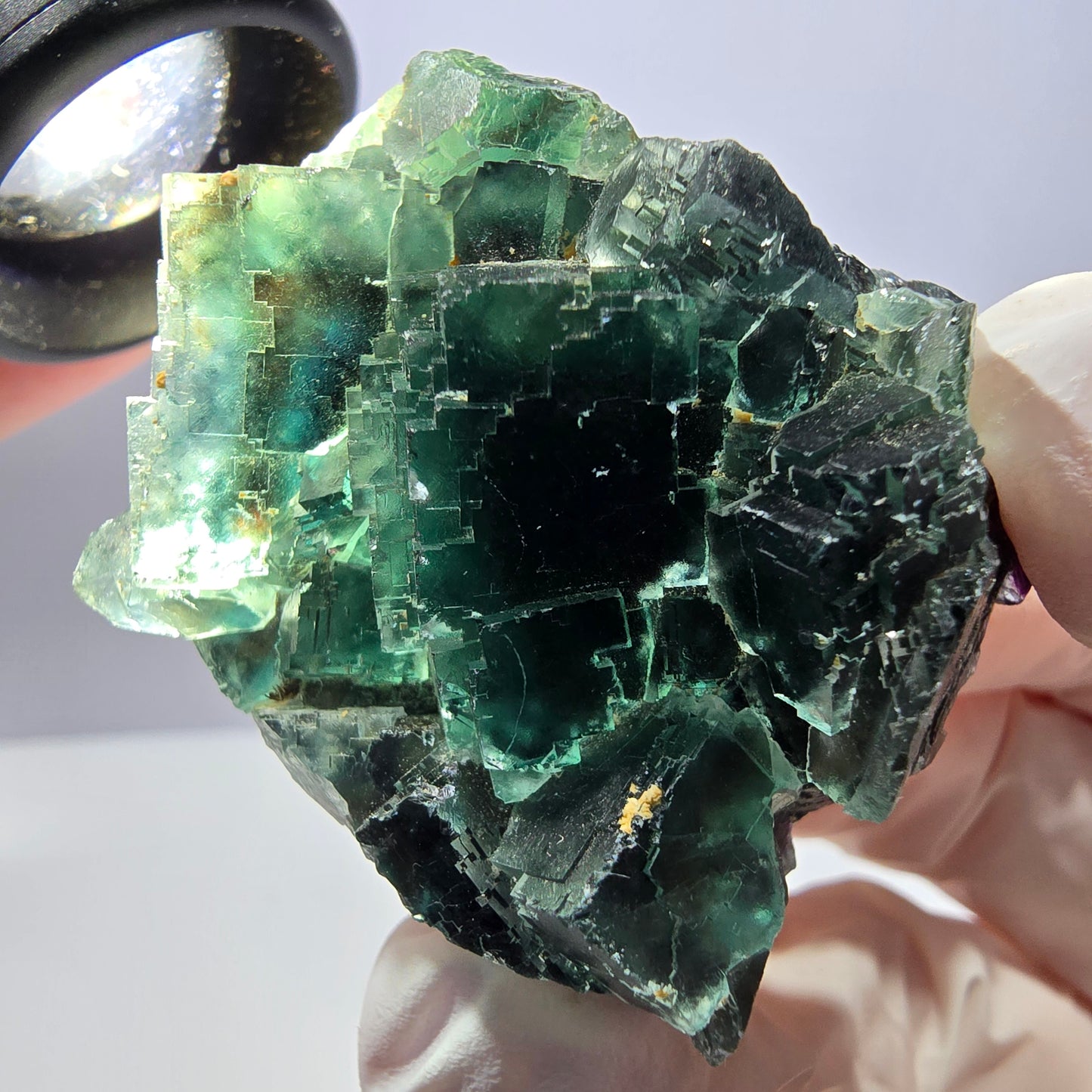 Spécimen de cube de fluorite fantôme parqueté vert violet Okorusu, Namibie 42*38*24mm