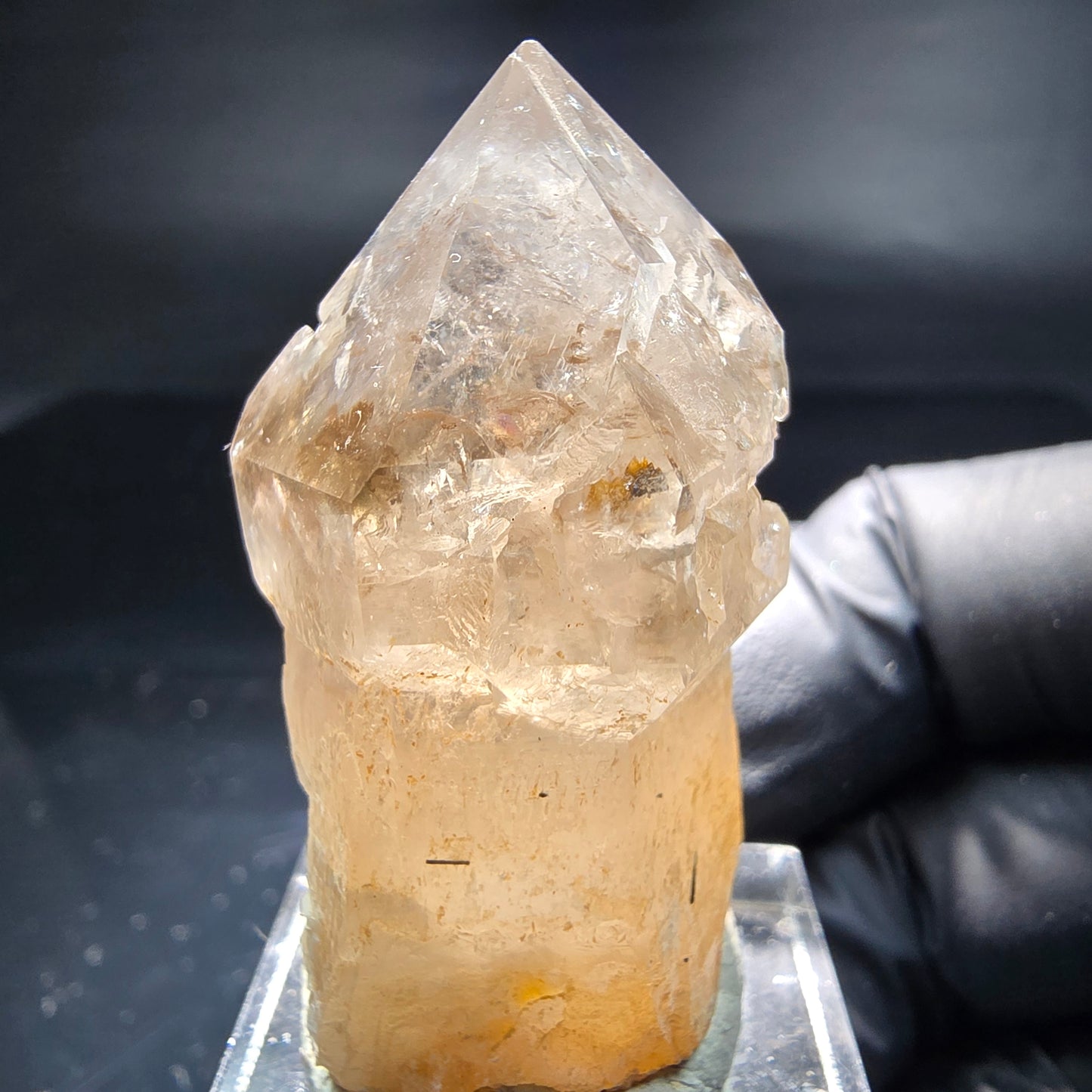 Schöne Phantom Rauchquarz Zepter Spitze Erongo, Namibia 43*23*20mm Sammlung