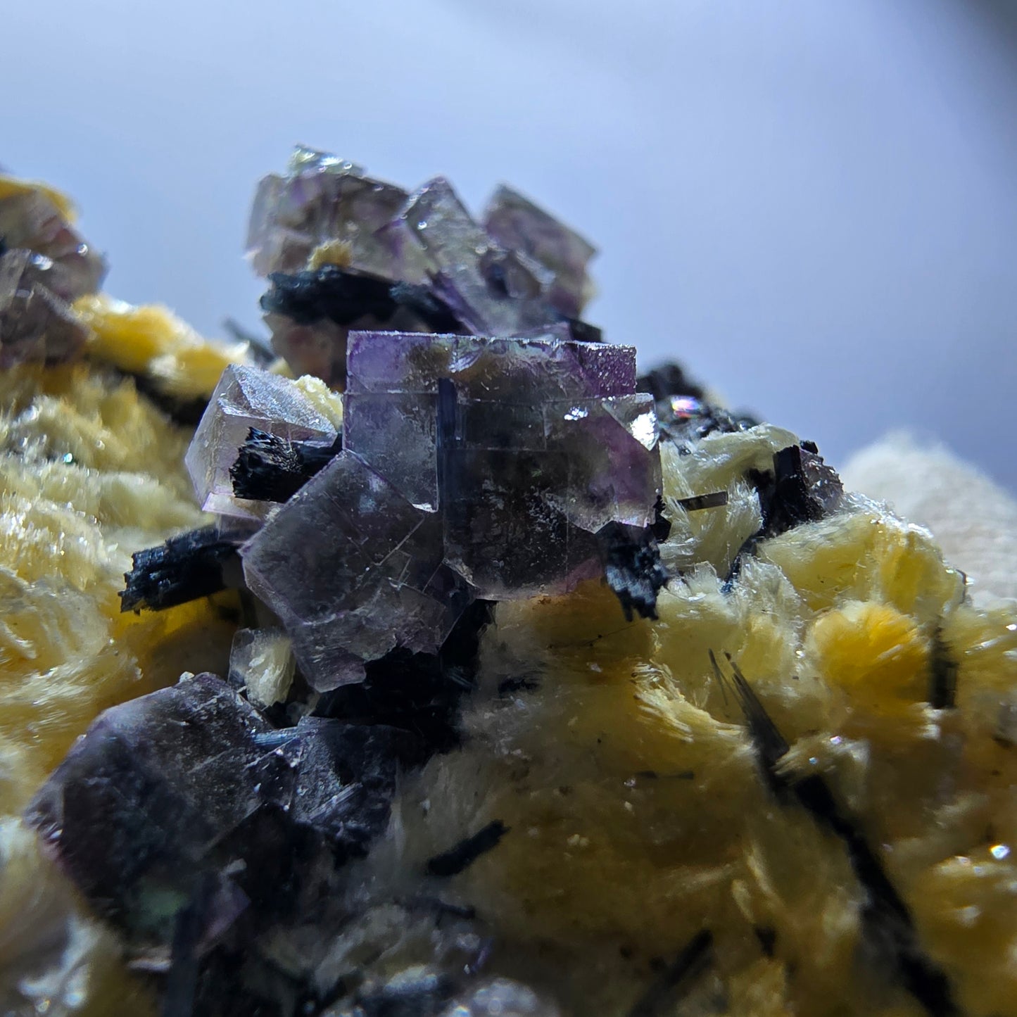 Cubes de fluorite fantôme colorés, tourmaline scholle muscovite, Erongo, Namibie, 61 x 60 x 29 mm