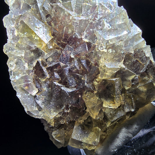 Honey Pocket Phantom Fluorite stage jaune violet Okorusu Namibie 49*37*11mm collection