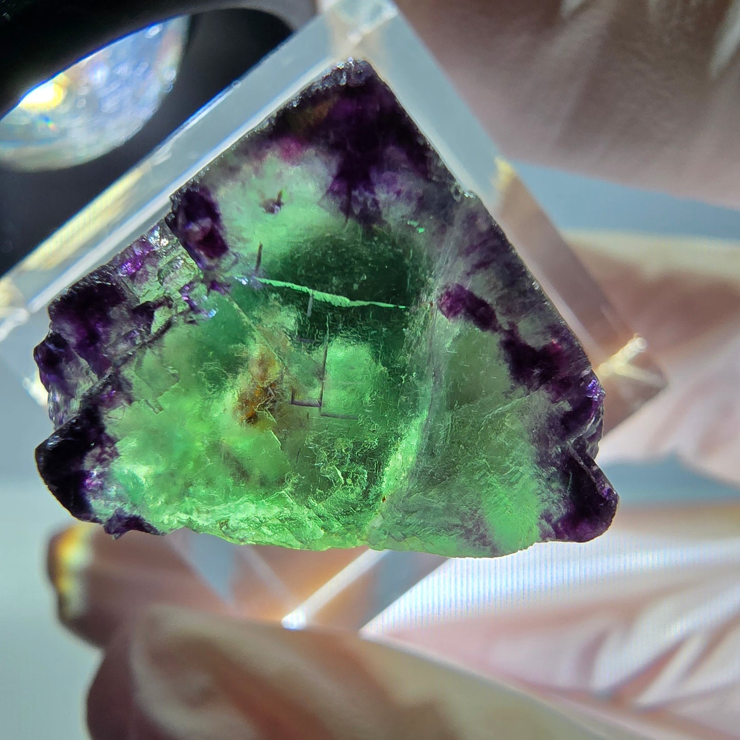 Phantom Fluorit Würfel Stufe, parkettiert, zonal Okorusu, Namibia 18*18*18mm