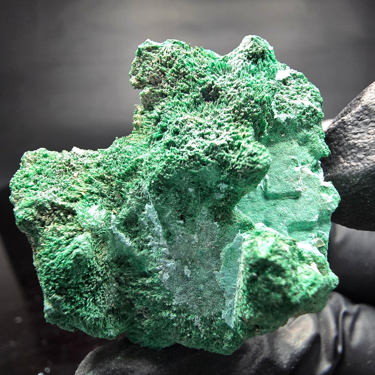 Seltene Malachit, Chrysokoll Stufe Kaokoveld, Namibia 40*31*31mm Sammlung