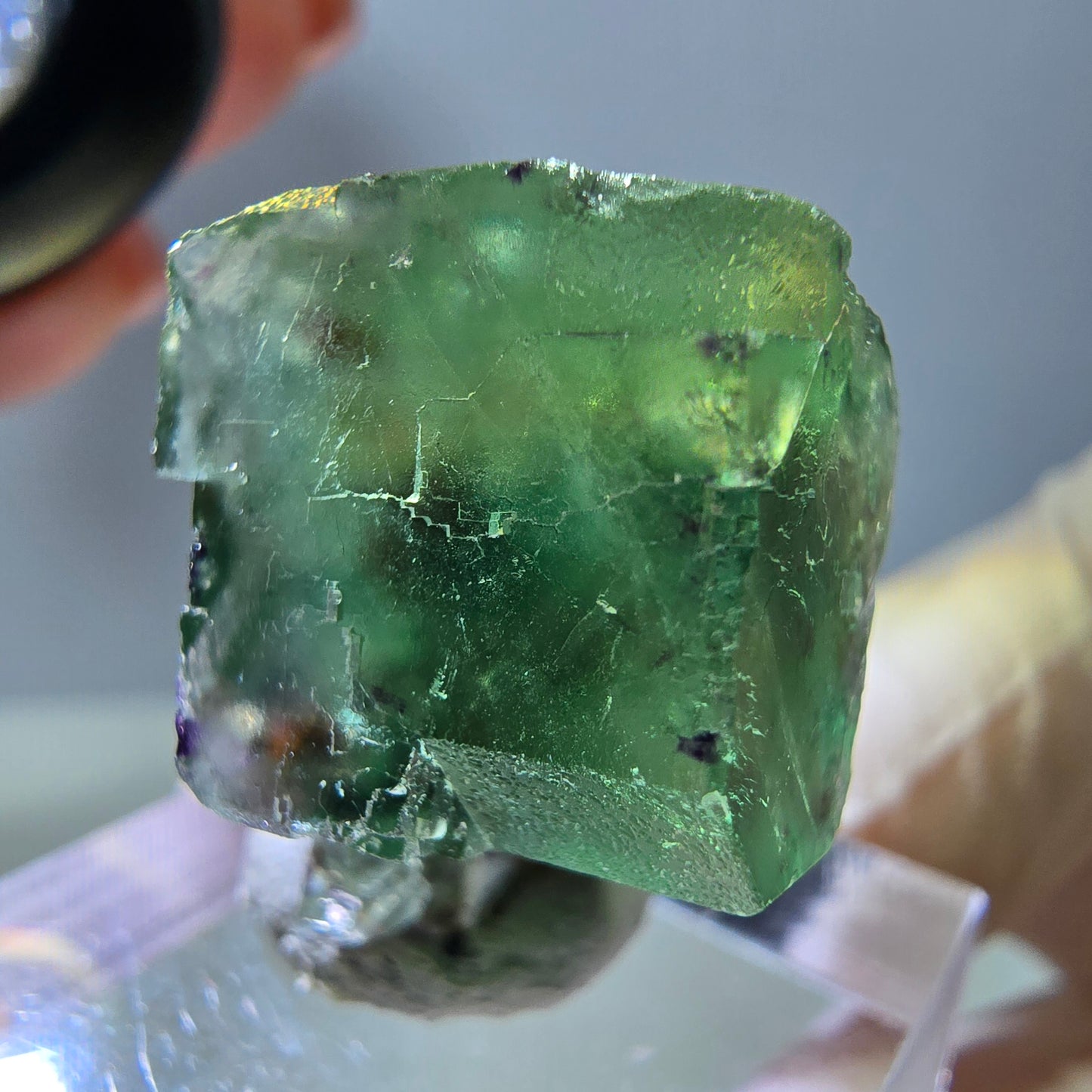 Phantom Fluorit Würfel Stufe, grün parkettiert Okorusu, Namibia 27*21*15mm