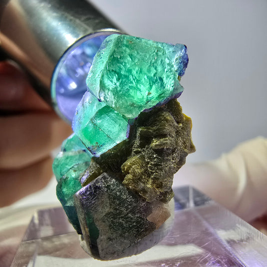 Cube hexagonal de fluorite fantôme, muscovite, tourmaline Schörl, Erongo, Namibie, 26 x 20 x 14 mm