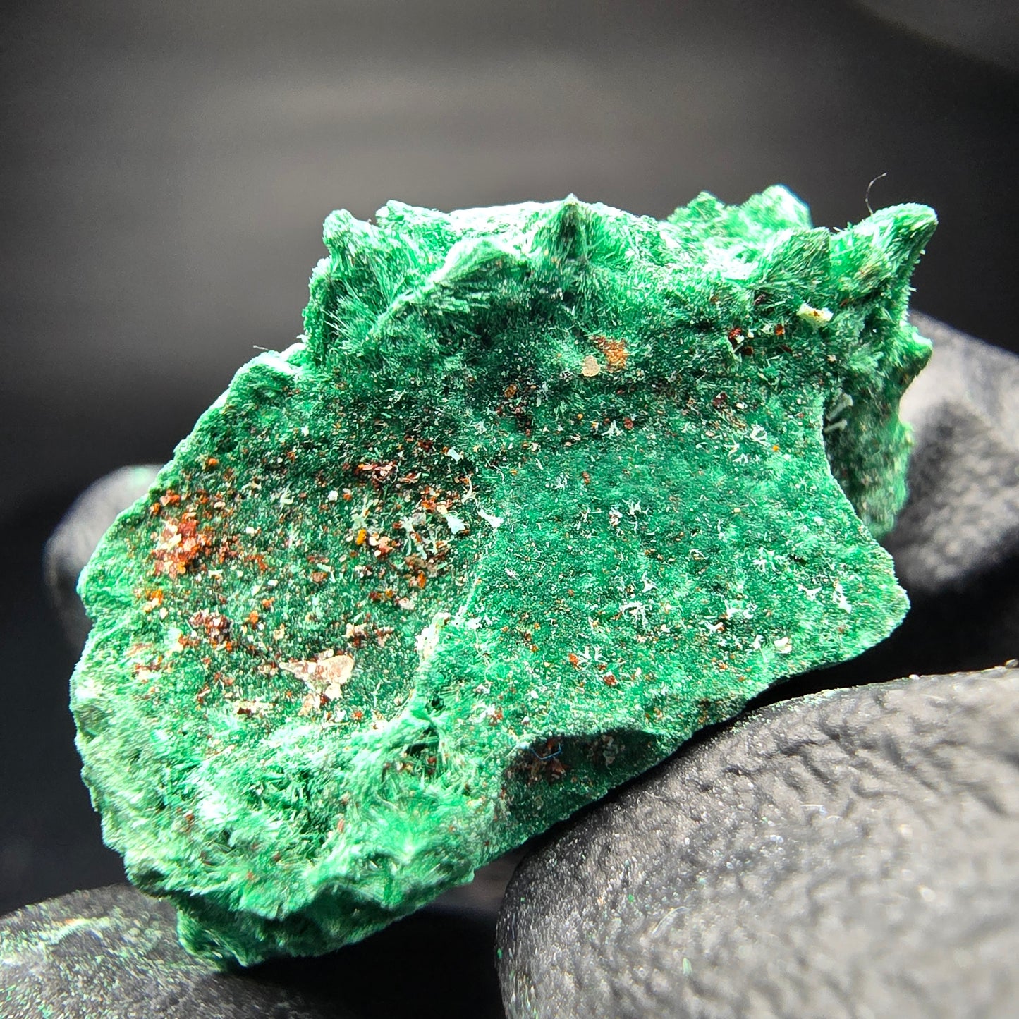Seltene Malachit Stufe, grün Kaokoveld, Namibia 33*21*16mm Mineraliensammlung