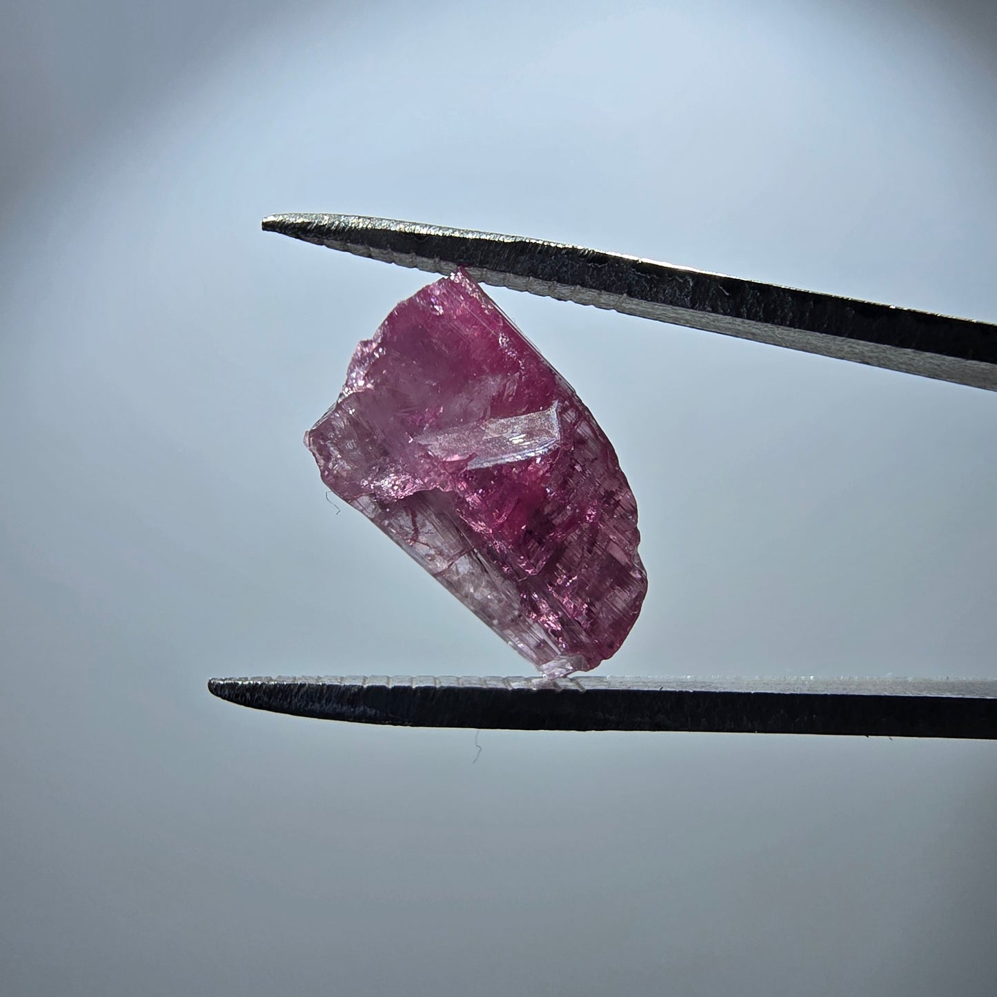 Cristal de tourmaline rubellite rare, rose Minas Gerais, Brésil 13 x 8 x 6 mm