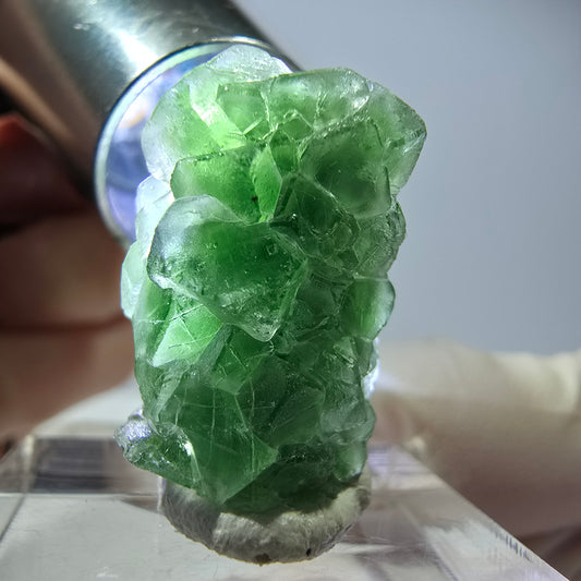 Cube de fluorite fantôme, spécimen de tourmaline Schorl, Erongo, Namibie, 24 x 17 x 16 mm