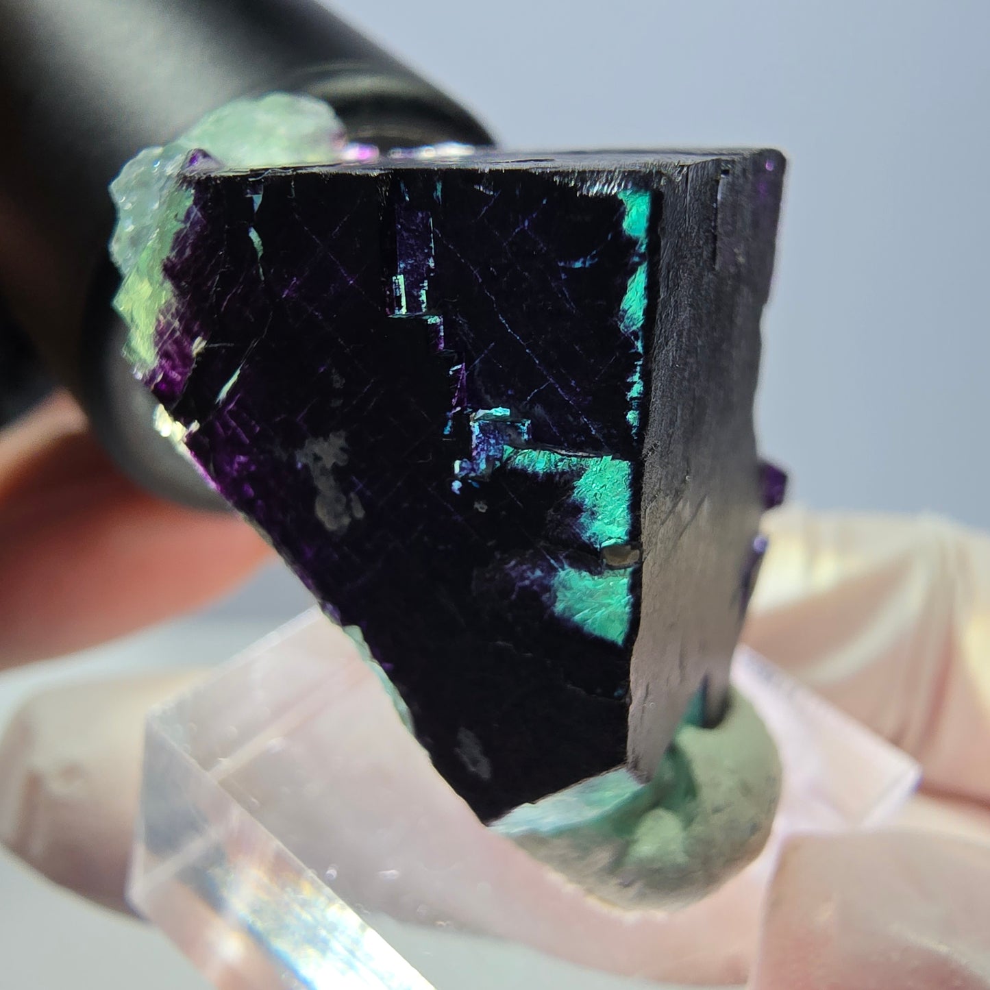 Phantom Fluorit Würfel Stufe grün lila zonal 11:11 Angel Pocket, Namibia 39*30*21mm