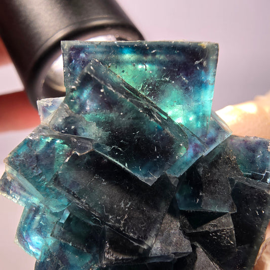 Seltene Phantom Fluorit Würfel Stufe Butterfly Pocket Okorusu Namibia 51*39*24mm