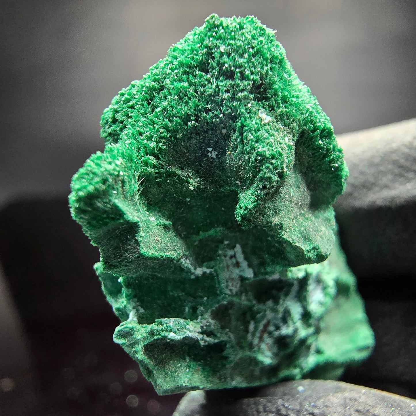 Seltene Malachit Stufe grün Kaokoveld, Namibia 37*23*16mm Mineraliensammlung