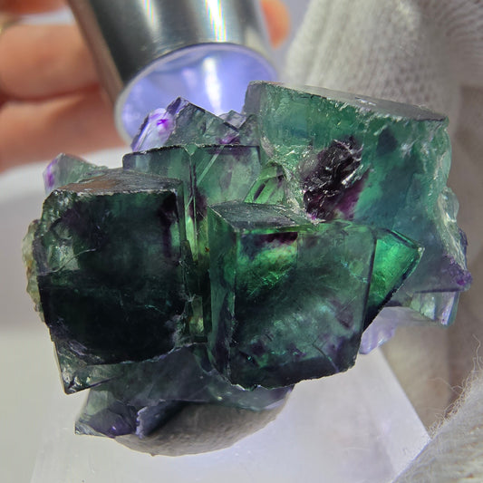 Spécimen de cube de fluorite fantôme transparente, vert-violet zonal, Okorusu, Namibie, 32 x 24 x 15 mm