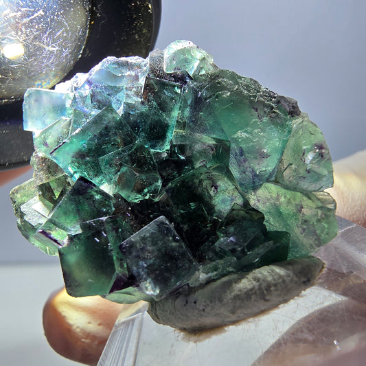 Phantom Fluorit Würfel Stufe, parkettiert grün lila Okorusu, Namibia 35*27*13mm
