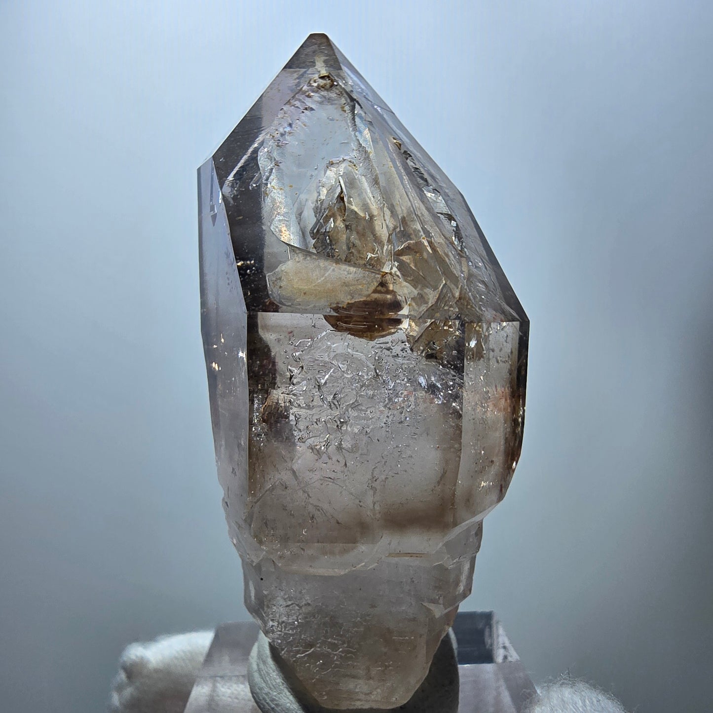 Enhydro Phantom Rauchquarz Fenster Zepter, 1x Blase Goboboseb Namibia 58*26*22mm
