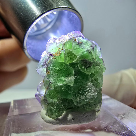 Cube de fluorite fantôme, zonal, spécimen de tourmaline Schorl, Erongo, Namibie, 18 x 15 x 15 mm