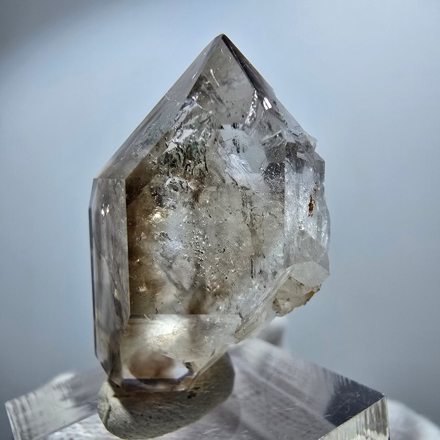 Enhydro Phantom Rauchquarz DT Zepter, 1x Blase Goboboseb, Namibia 36*21*17mm
