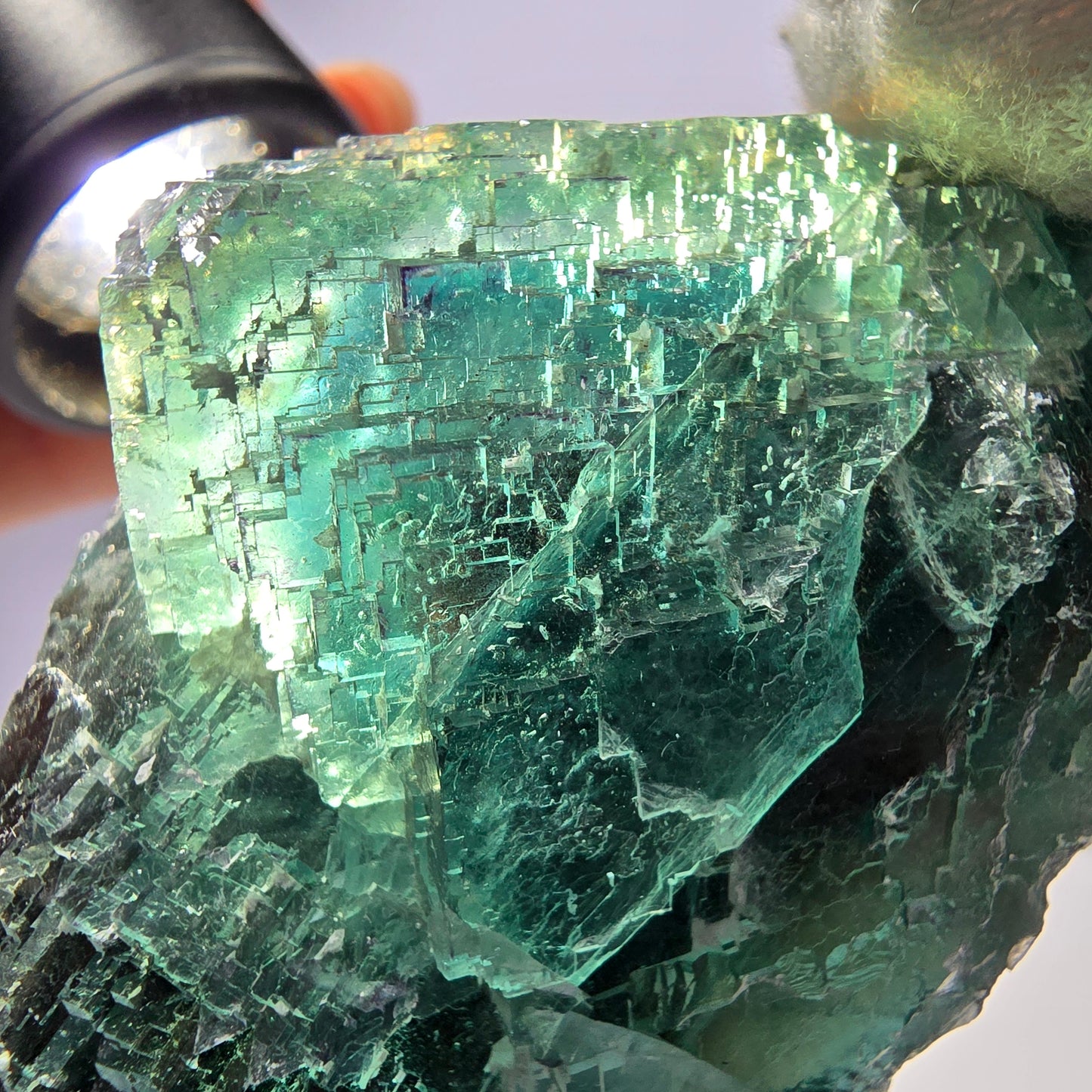 Rare spécimen de cube de fluorite fantôme, parqueté vert Okorusu, Namibie, 78 x 47 x 35 mm