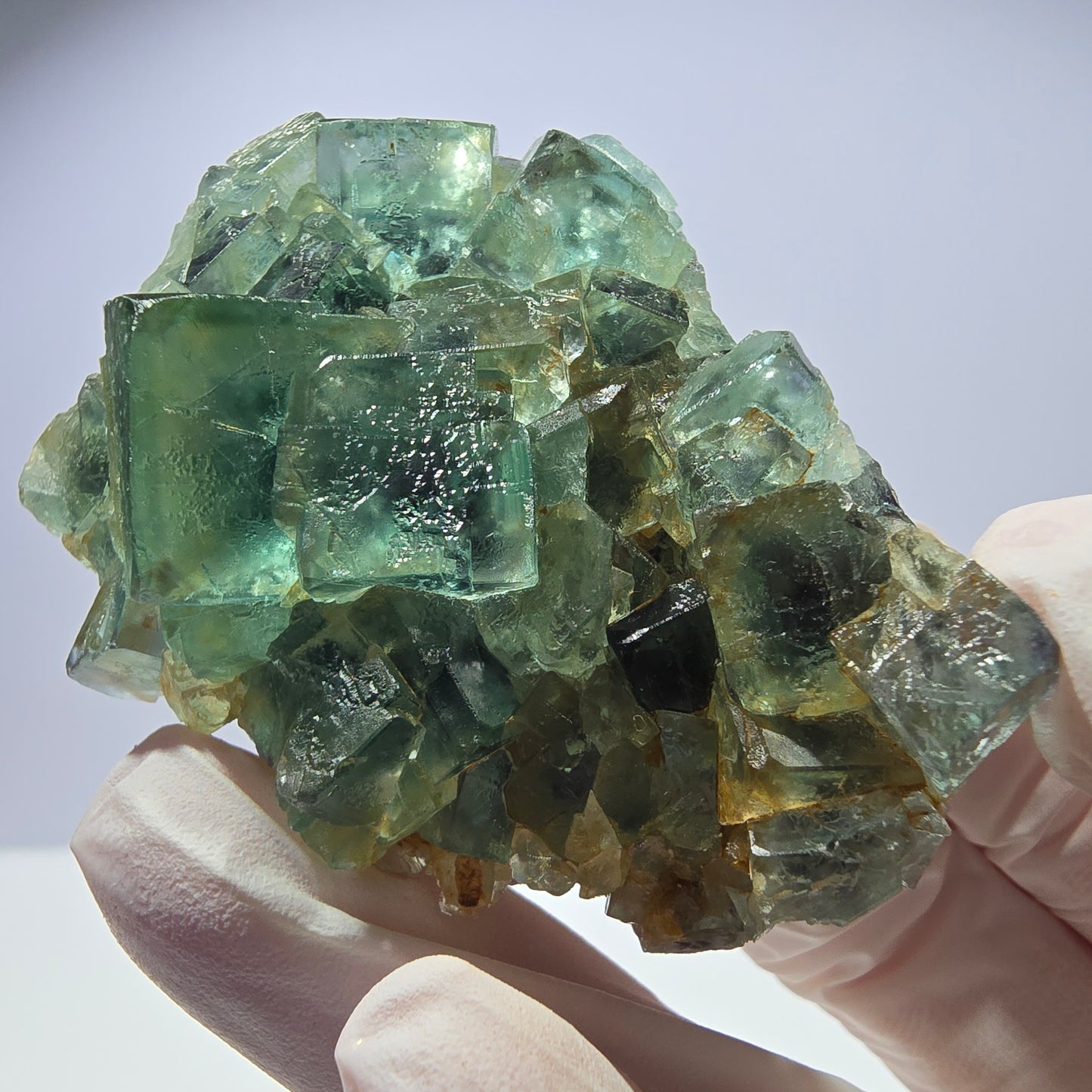 Spécimen de cube de fluorite fantôme parqueté vert violet Okorusu, Namibie 60*48*24mm