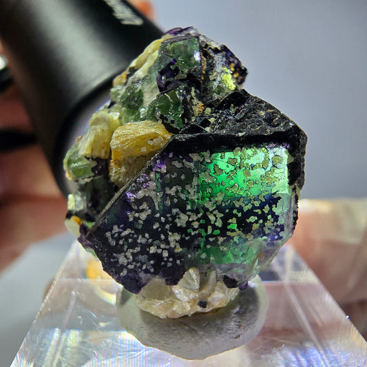 Cube de fluorite fantôme, zonal, muscovite, spécimen de tourmaline Schorl, Erongo, Namibie, 28 x 23 x 15 mm