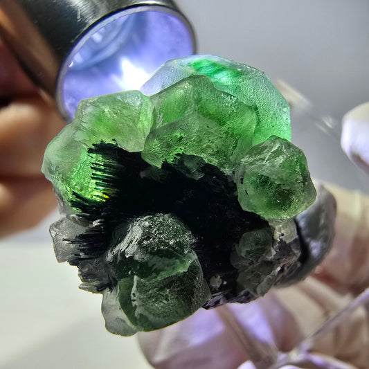 Cube de fluorite fantôme hexagonal, muscovite, tourmaline Schörl Erongo, Namibie 29*21*21mm